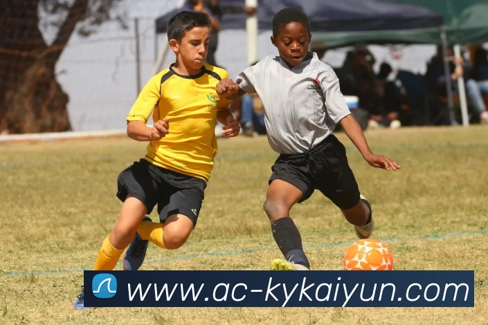 开云体育官方网站服务体系